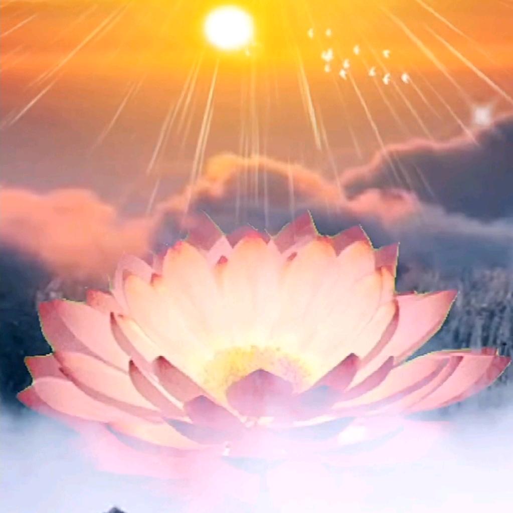 文殊禅音（24小时）