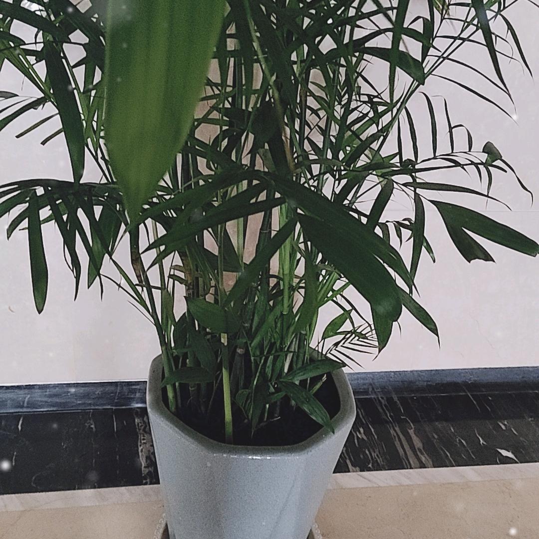 福来运转