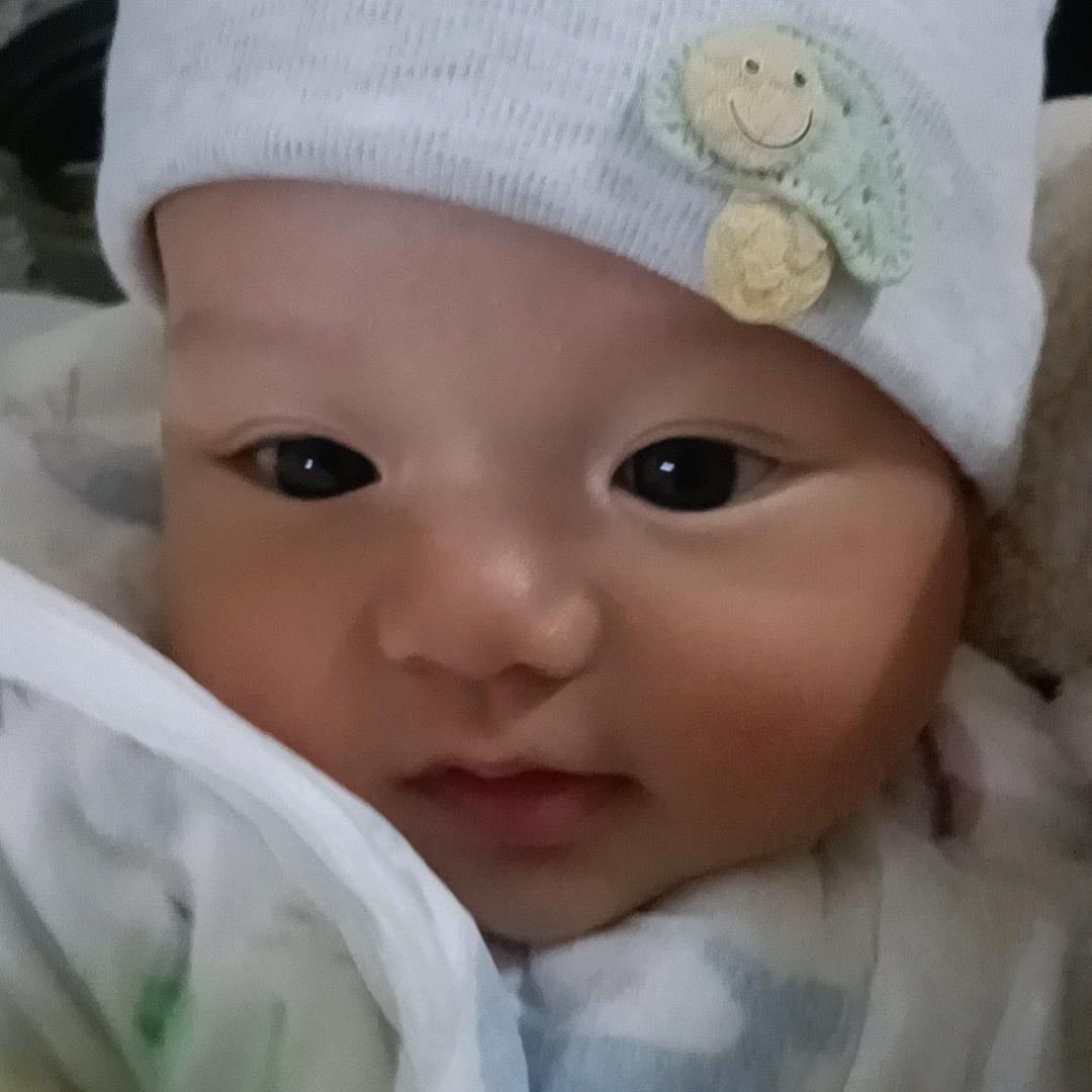 邹邹🌱⊙ω⊙🌱