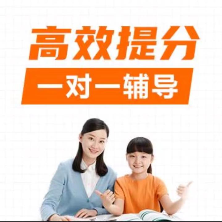 全国一对一辅导