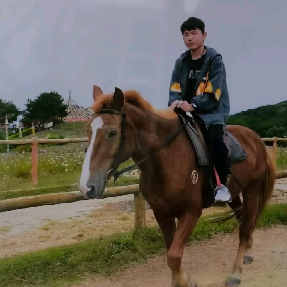 纷纷扰扰