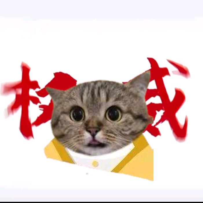 同归于尽吧!
