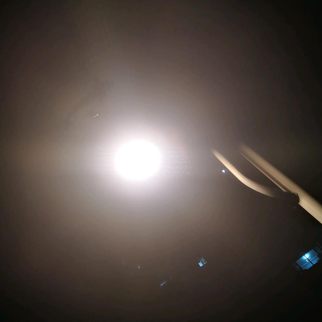 爱的魔力转圈圈