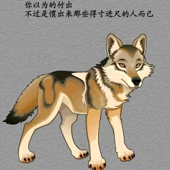 梦幻峰哥