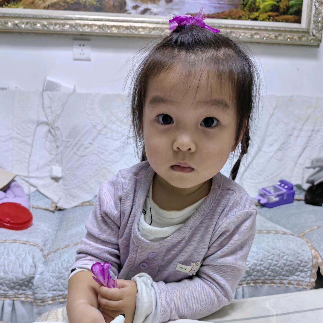 崔珍