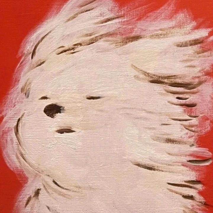 雾中船长