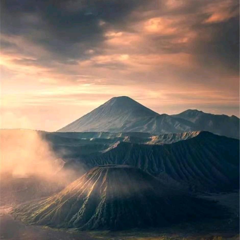 林樾
