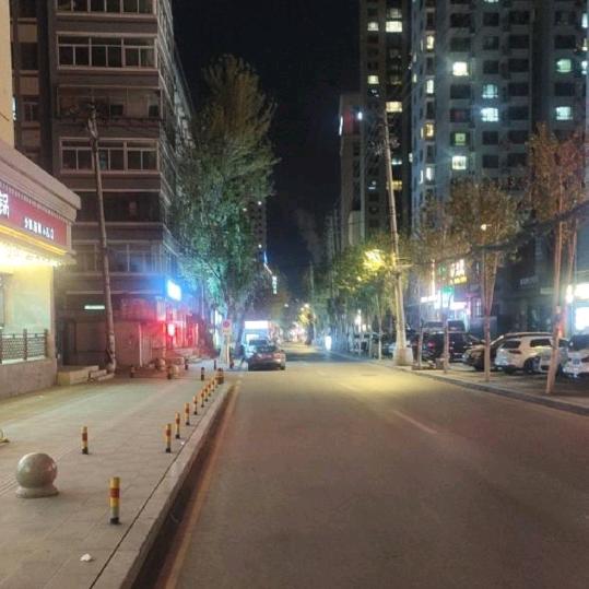 远大的梦想家