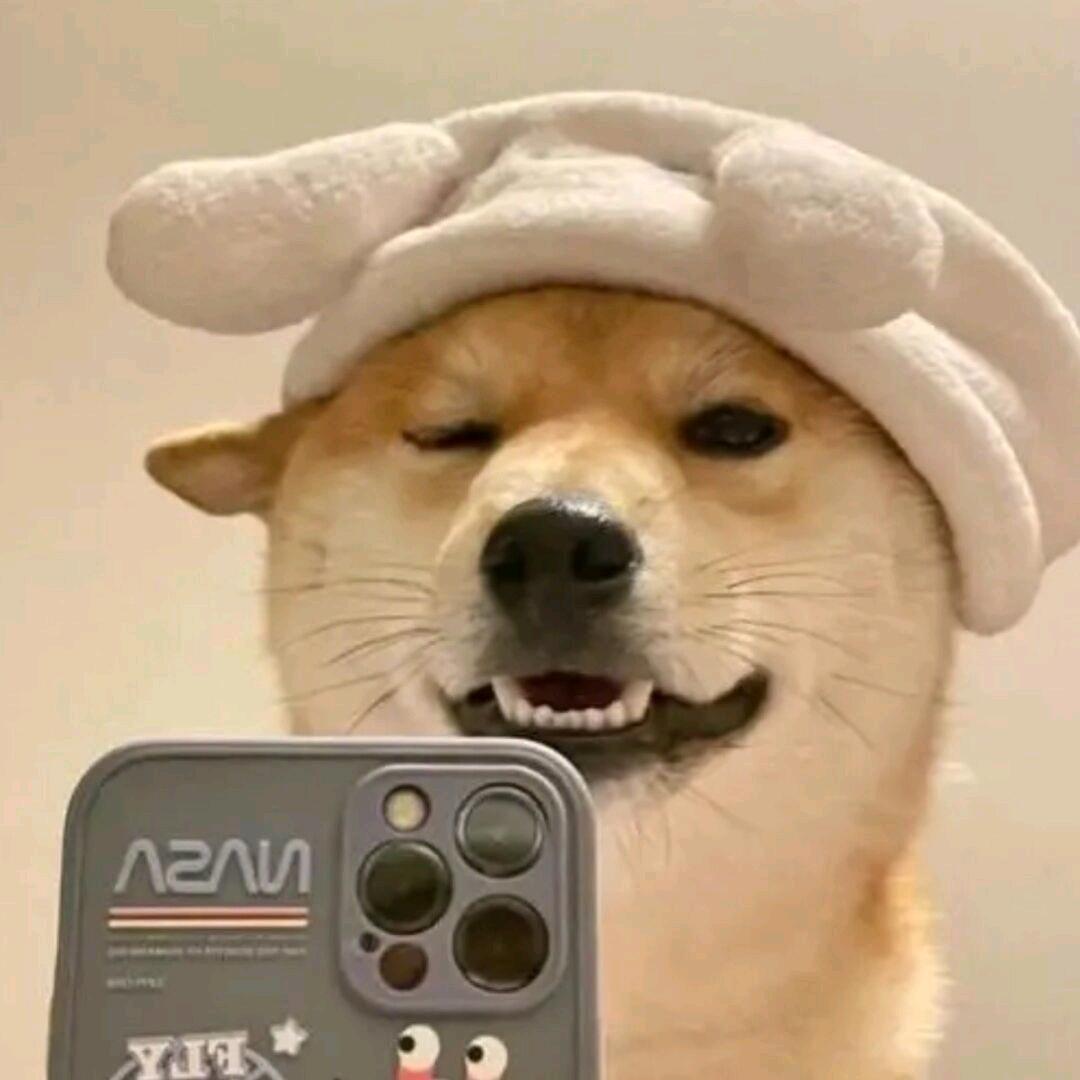 这个土豆不太胖GEM