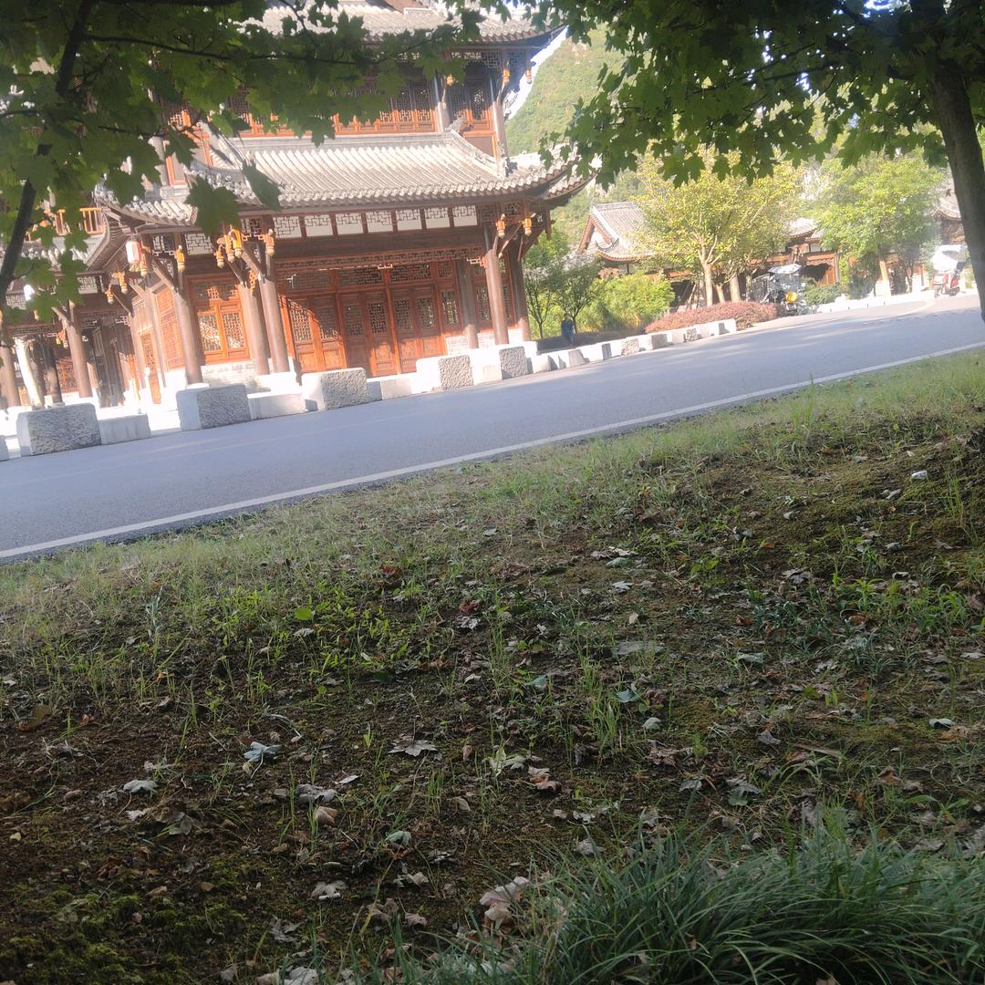 伤不起