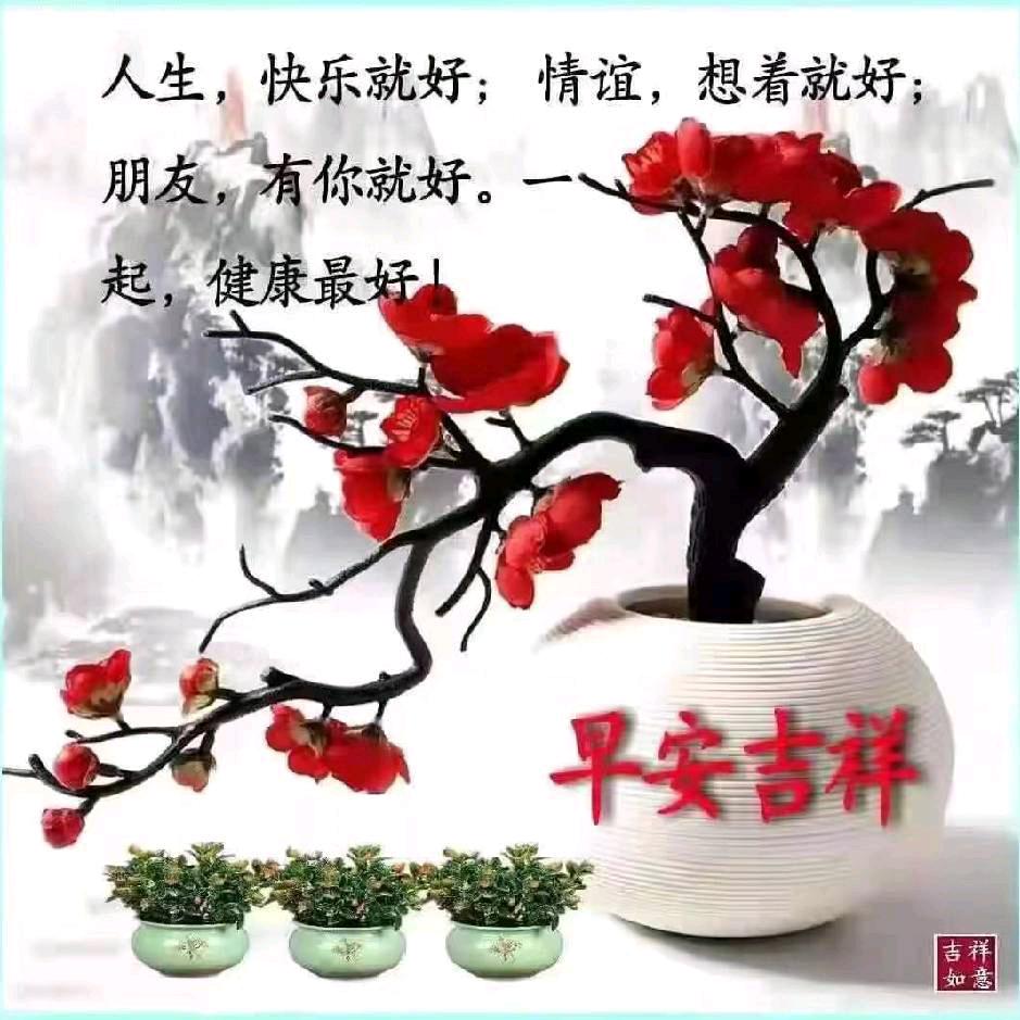 东方阿兔