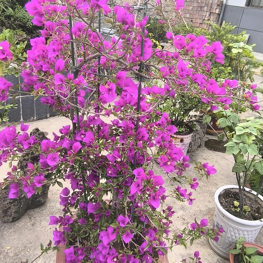 你真不错对我很好