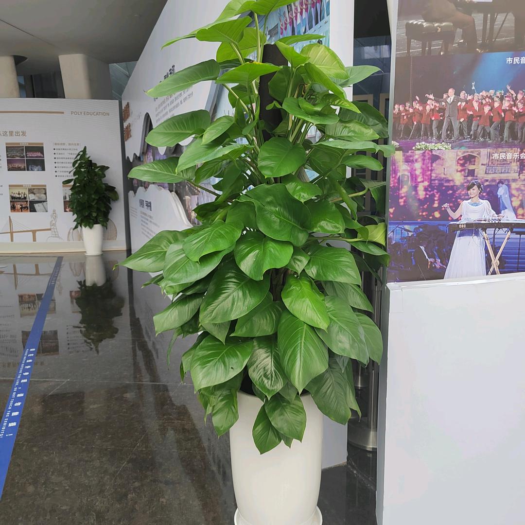 雨☔️后的彩虹
