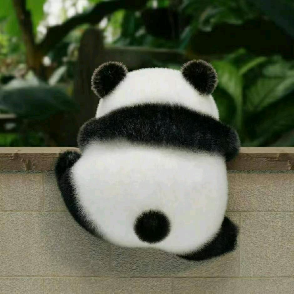 最美森林