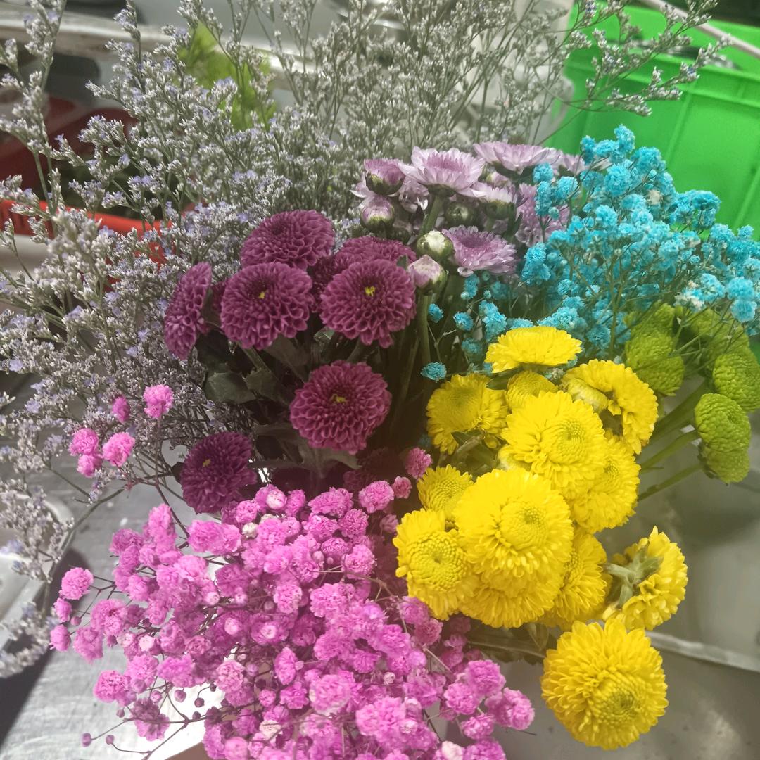 এۣۖ梦醒花落: ꧔ꦿ᭄