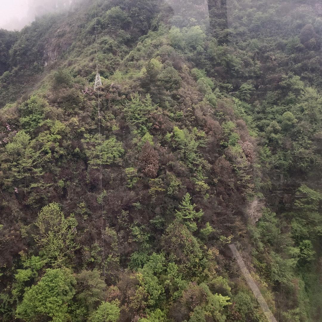 小石头捡山货