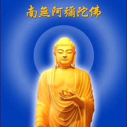 陈金岩