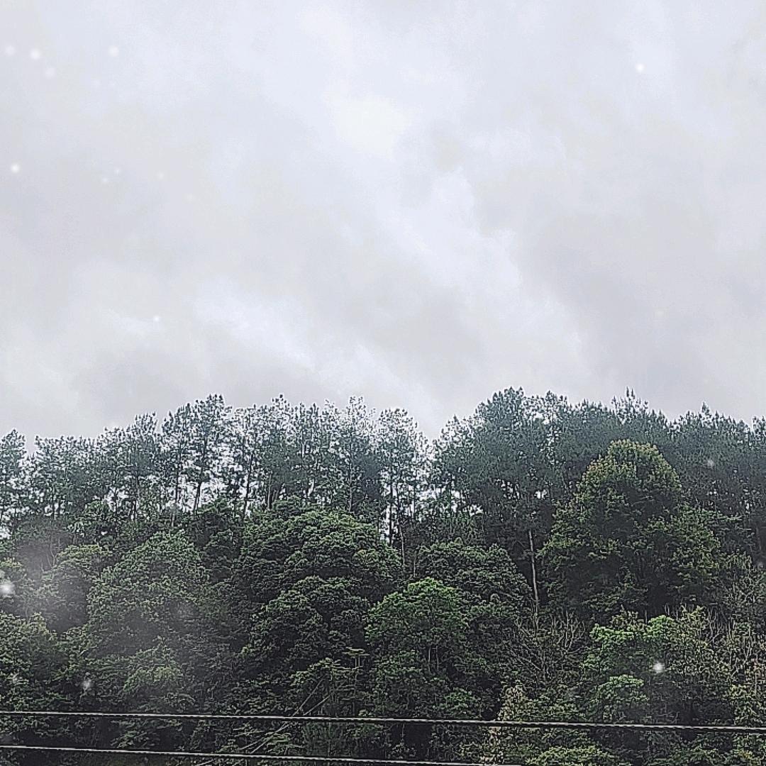 阿五