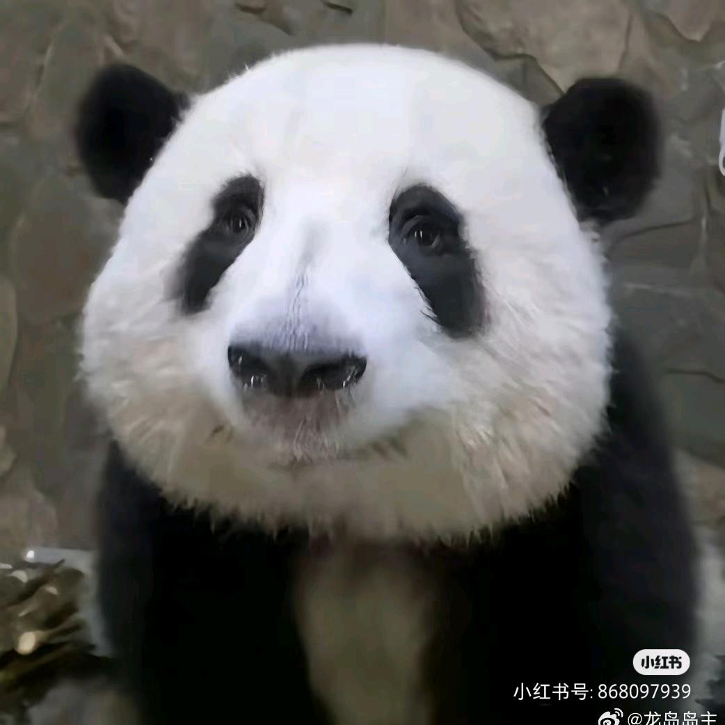 哔哔