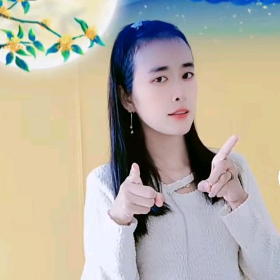七月菊