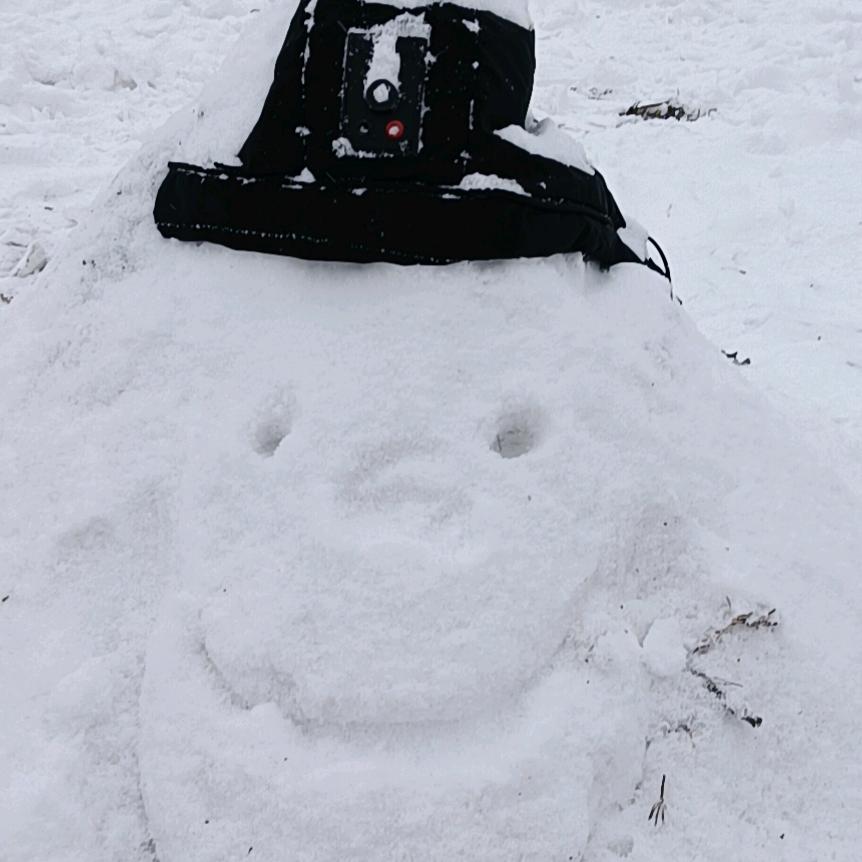 超级无敌雪人大王