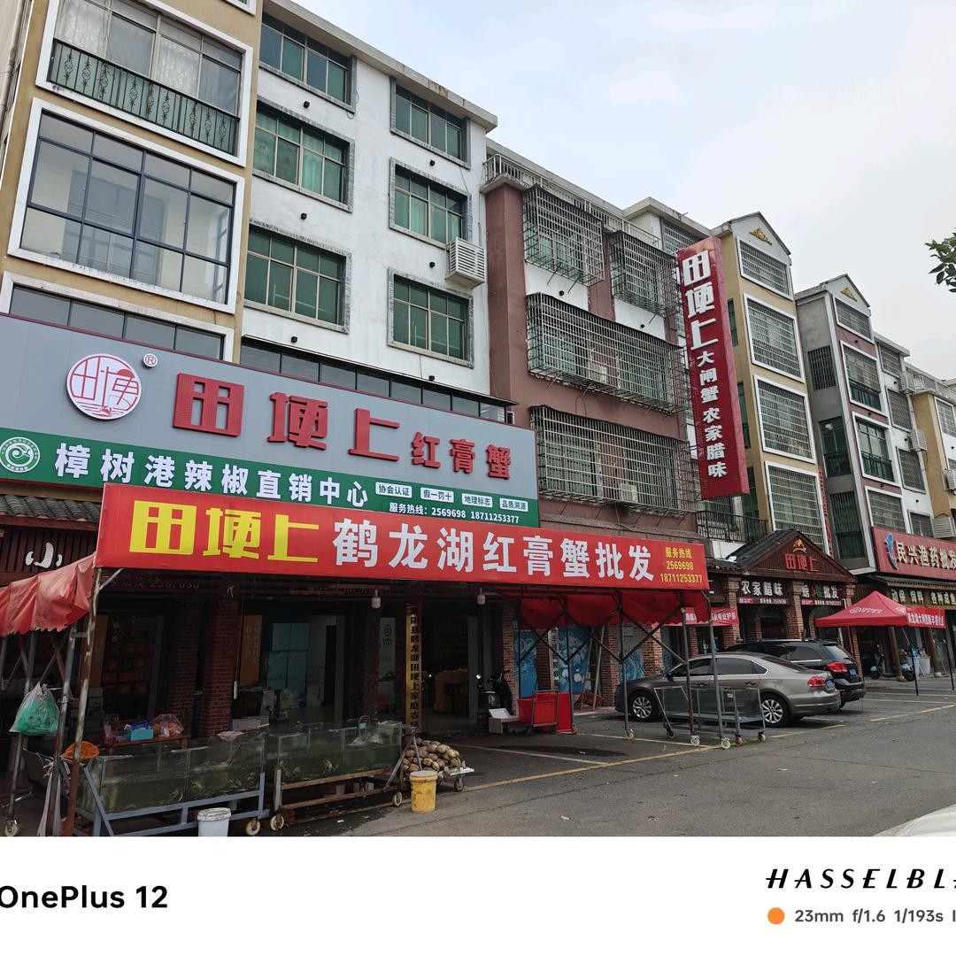 田埂上羊疯子（小号）