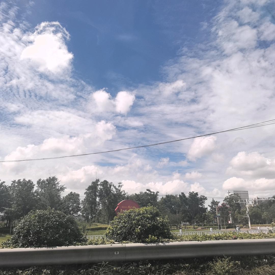 王教练