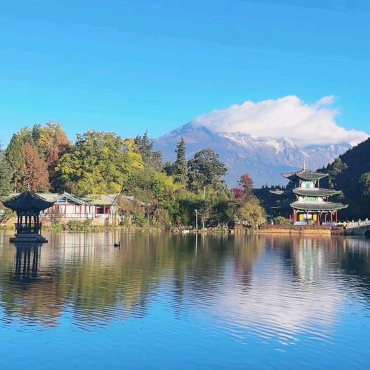 小杨哥在丽江