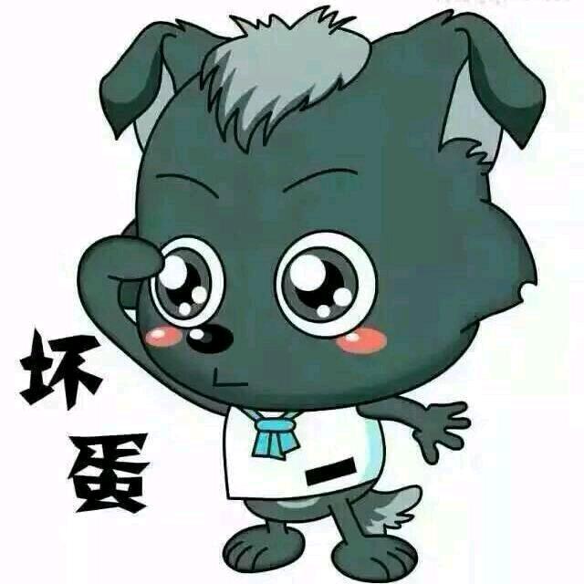 小灰灰抓鱼