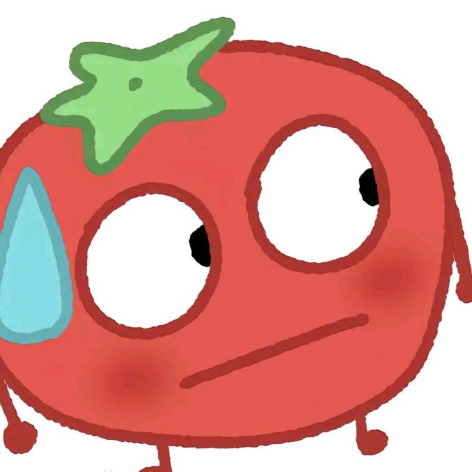 西红柿炒洋柿子🍅