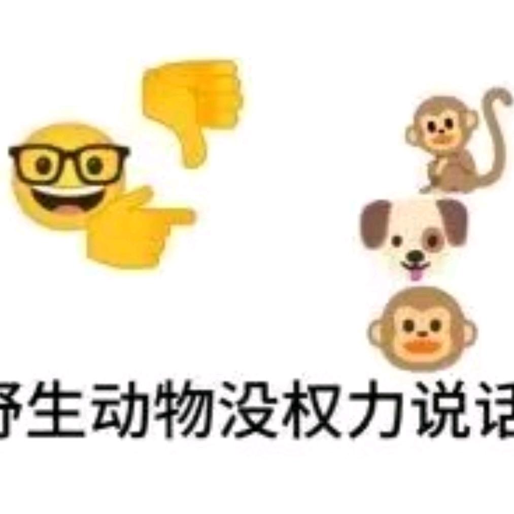 隐藏玩家