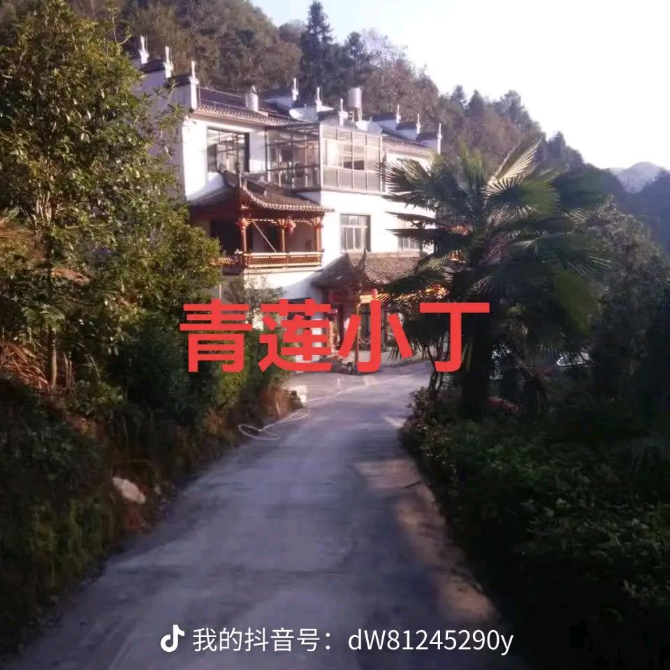 一步到位