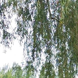 健康快乐每一天