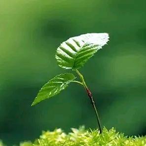 烦 事 都 放 下