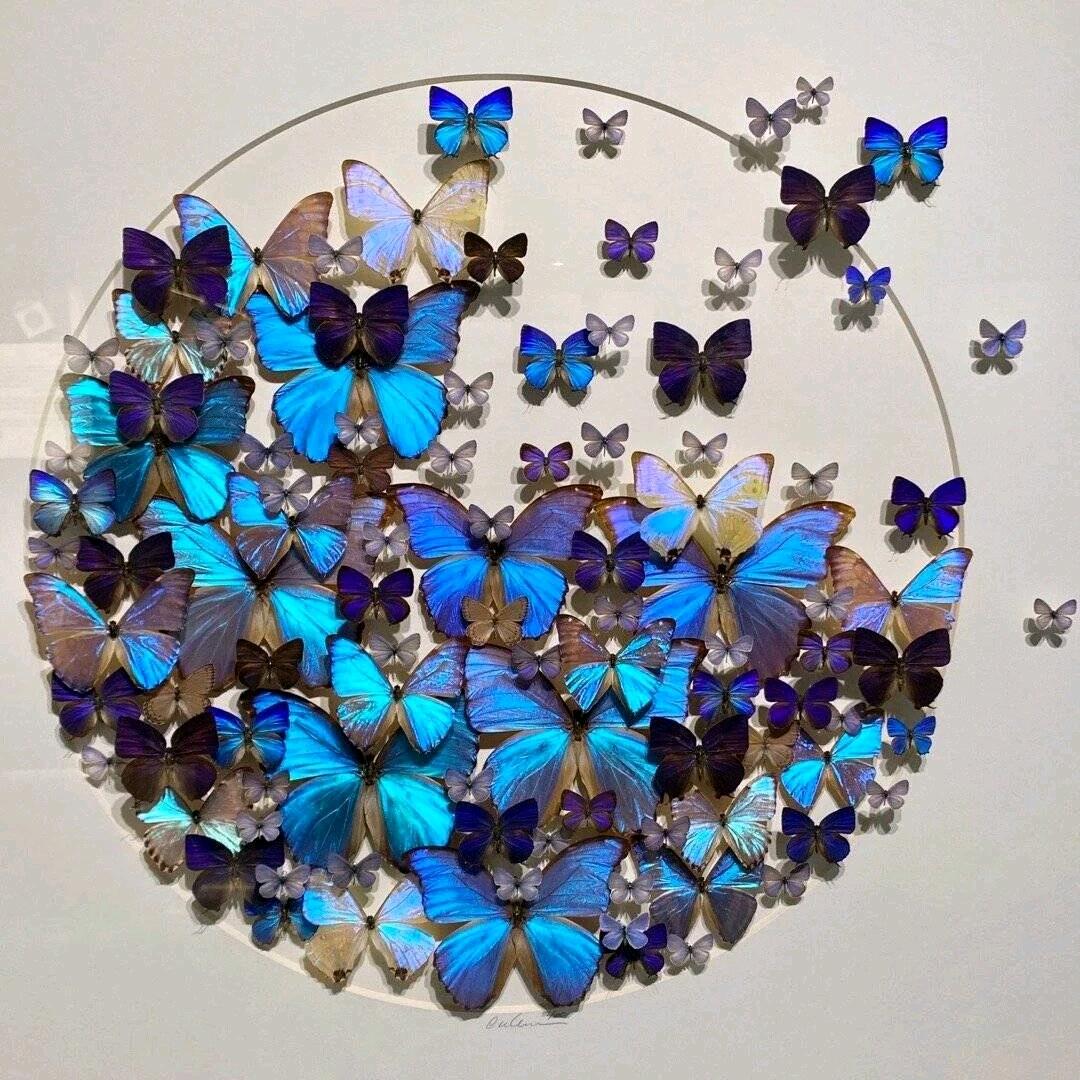 千娇美业工作室官方号