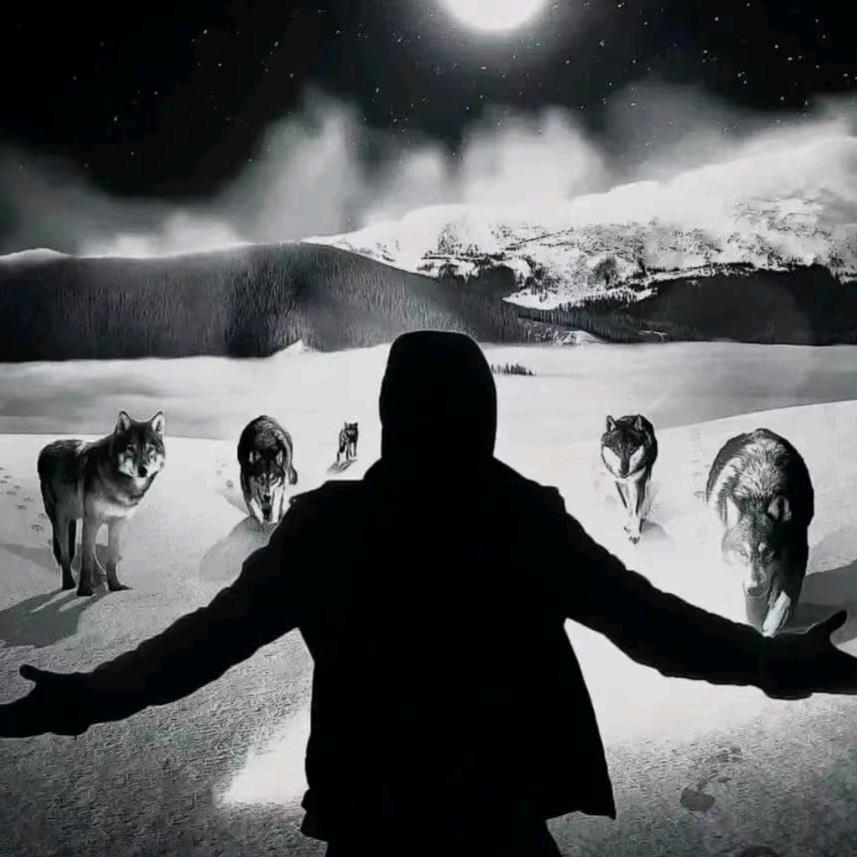 鲜猪肉批发零售