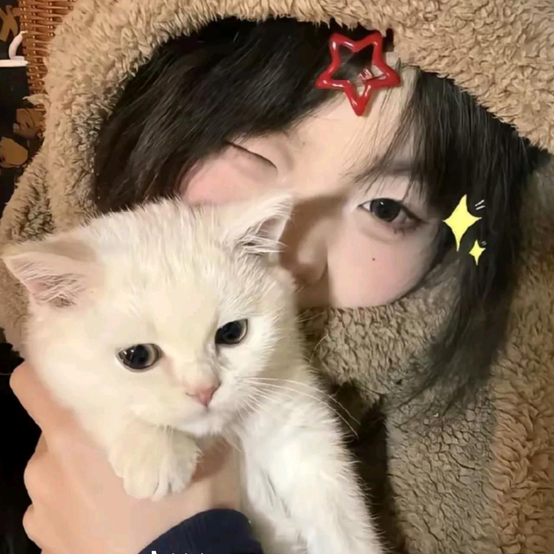 柠檬蛋糕🍰