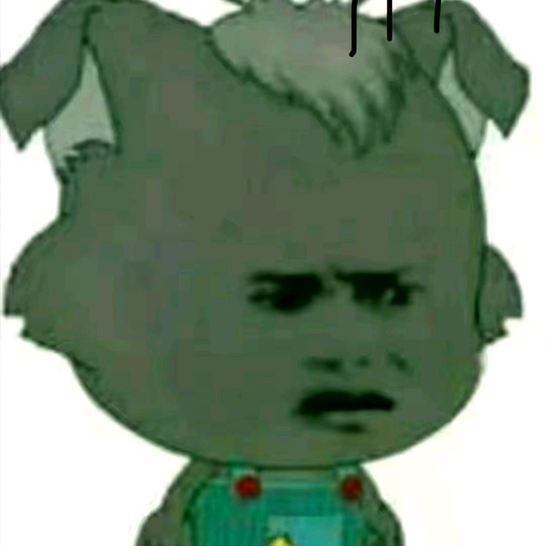 消失的小灰灰