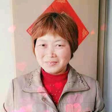 凤