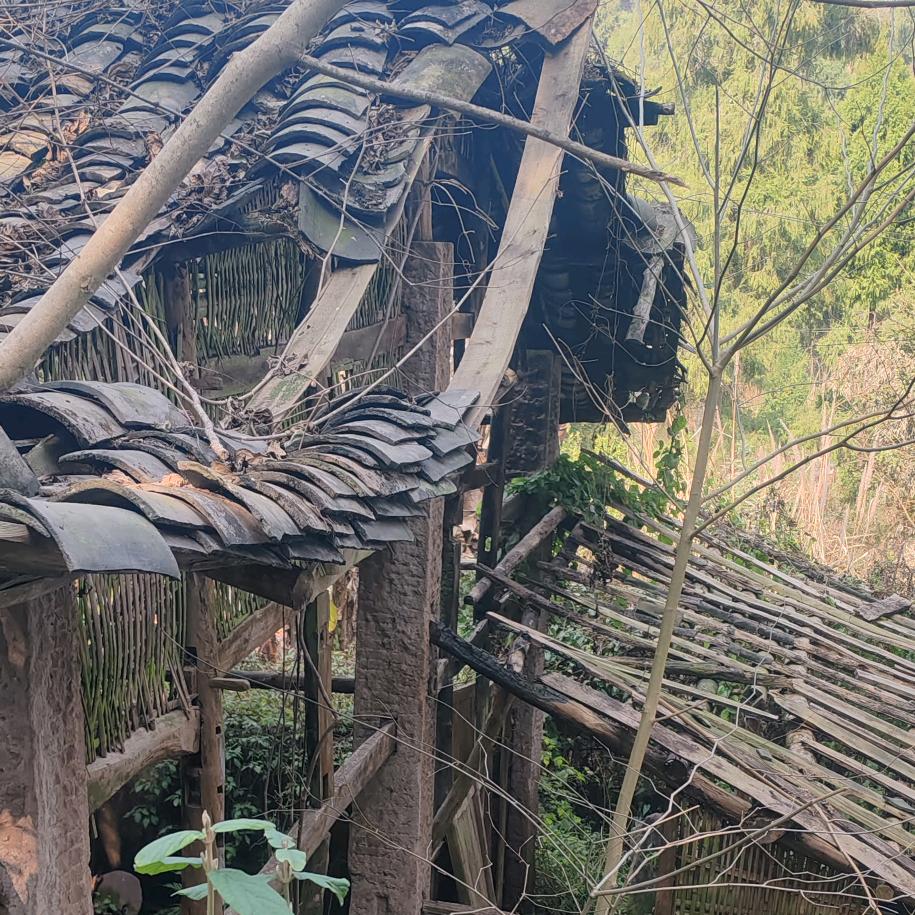 装修哥໑ຼₒ₂₃ღ᭄徐罗一口🦋꧔ꦿ᭄?