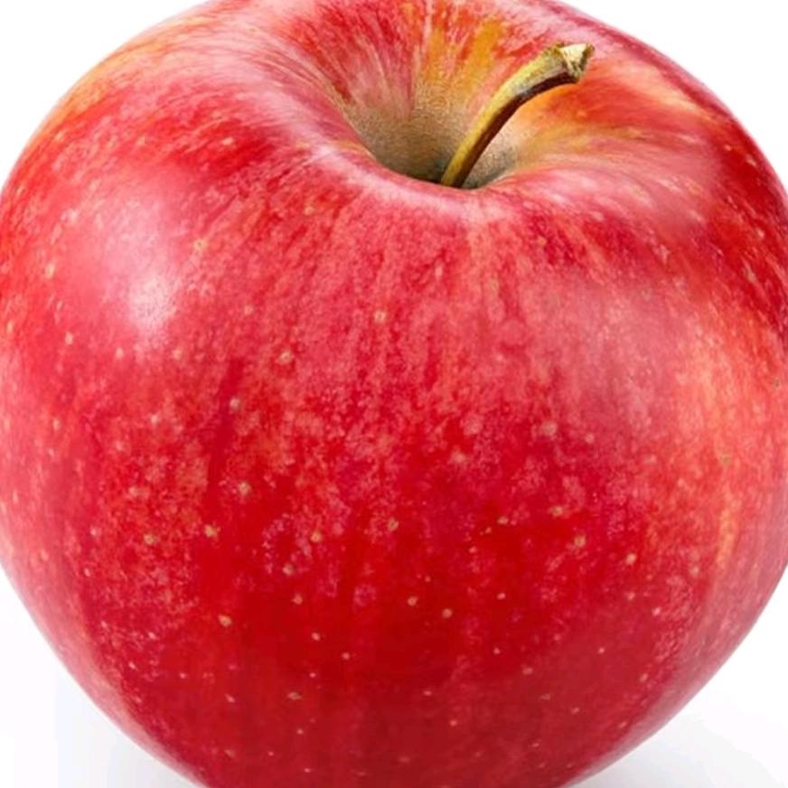 APPLE 汁