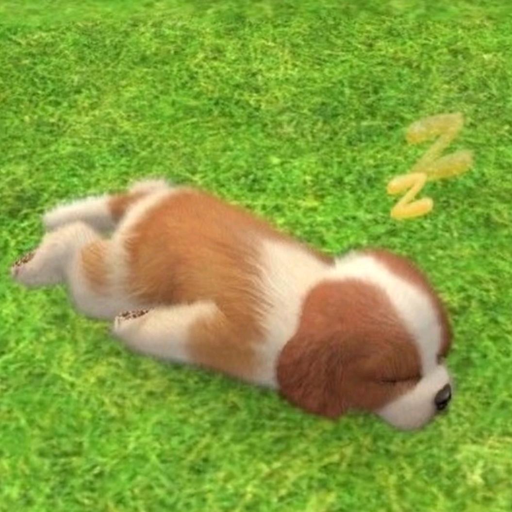 土豆老虎🐯