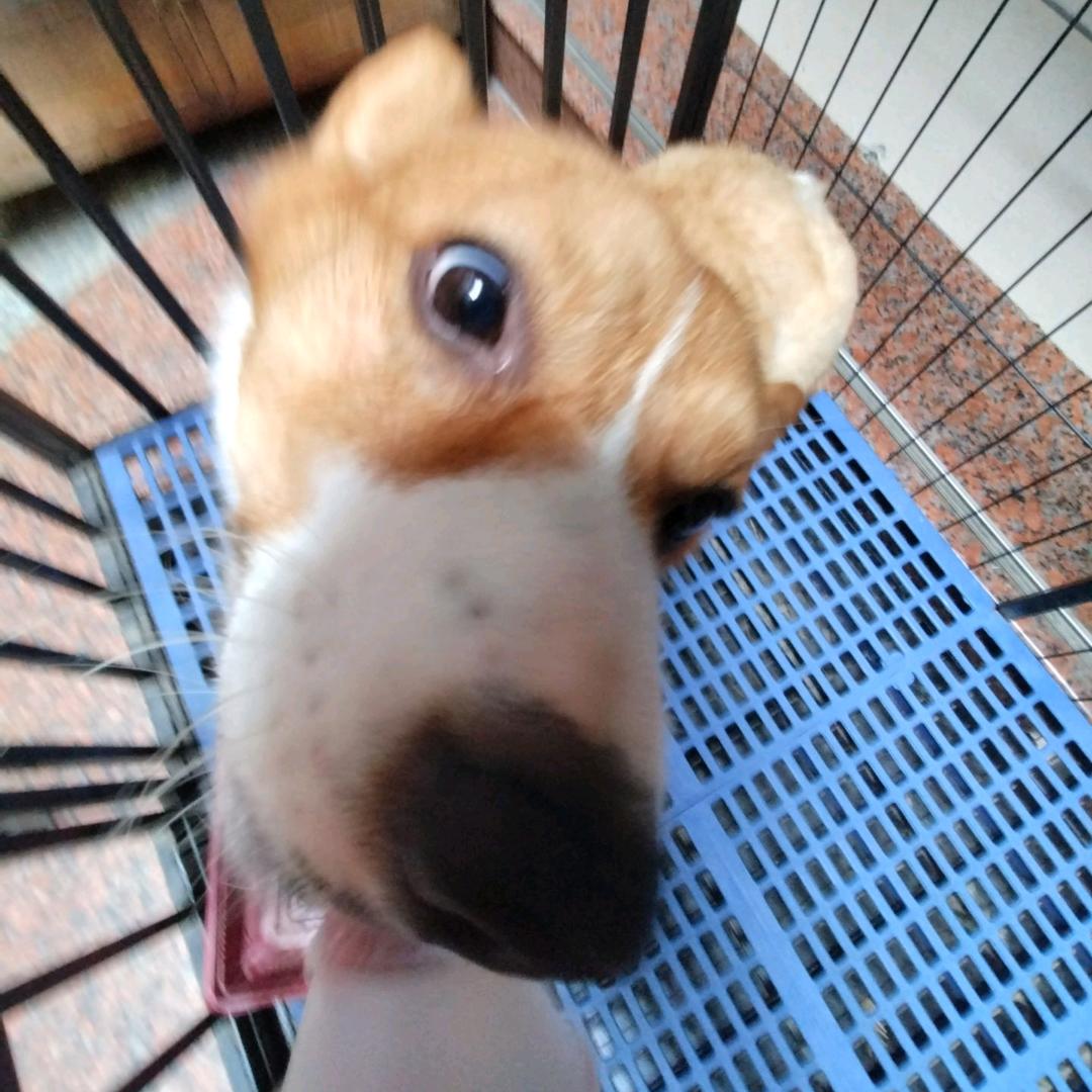 包包
