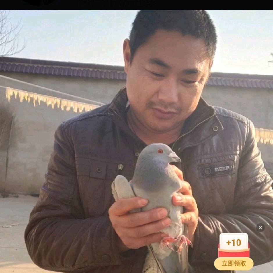 被女人伤透了心的男人