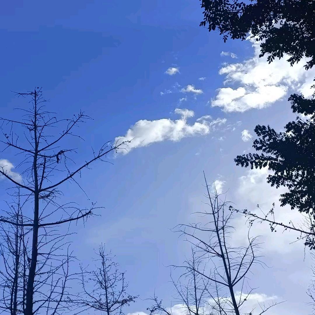 川味铁板烧