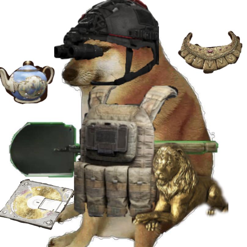 一只爱捡垃圾的猹狸