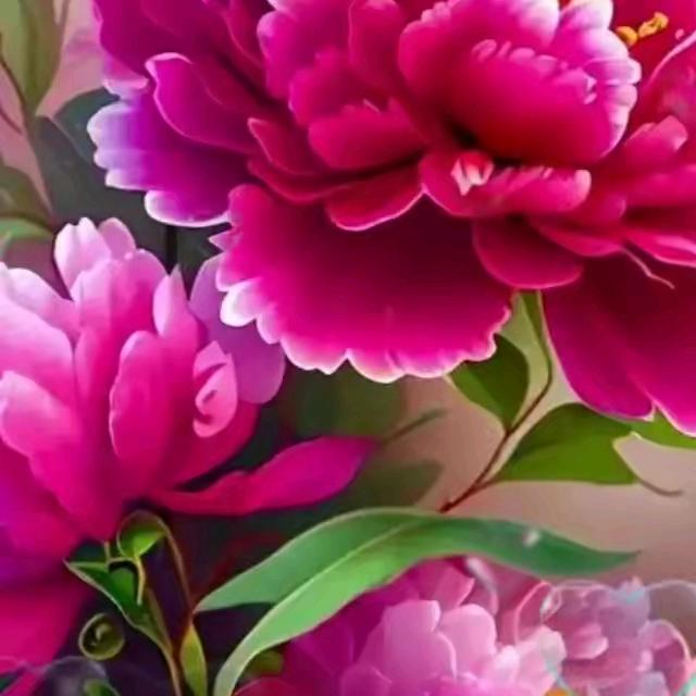 娟🍀🍁🌺🌹🌈🌅