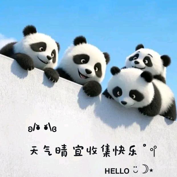 感谢经历