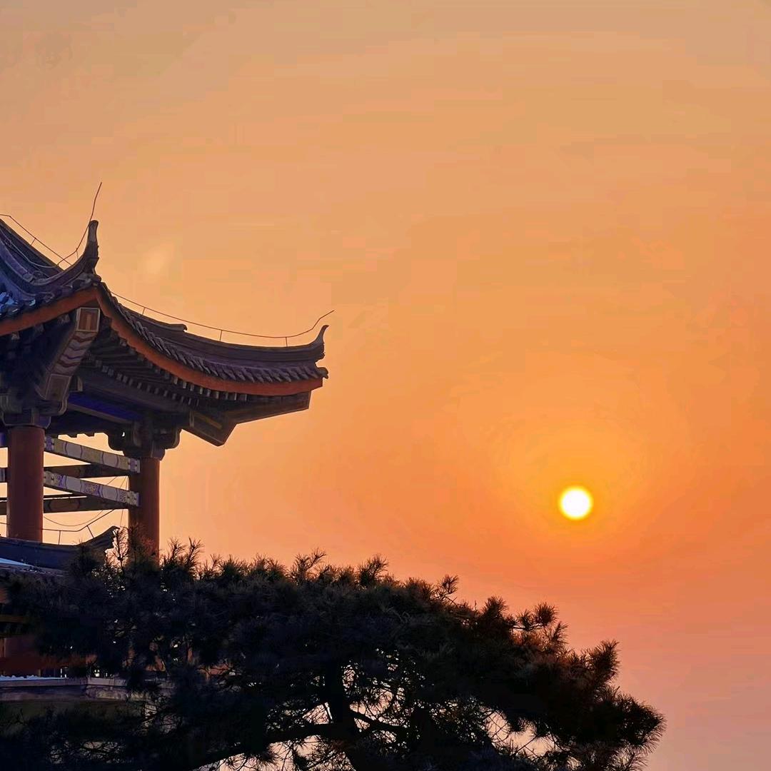 开心果