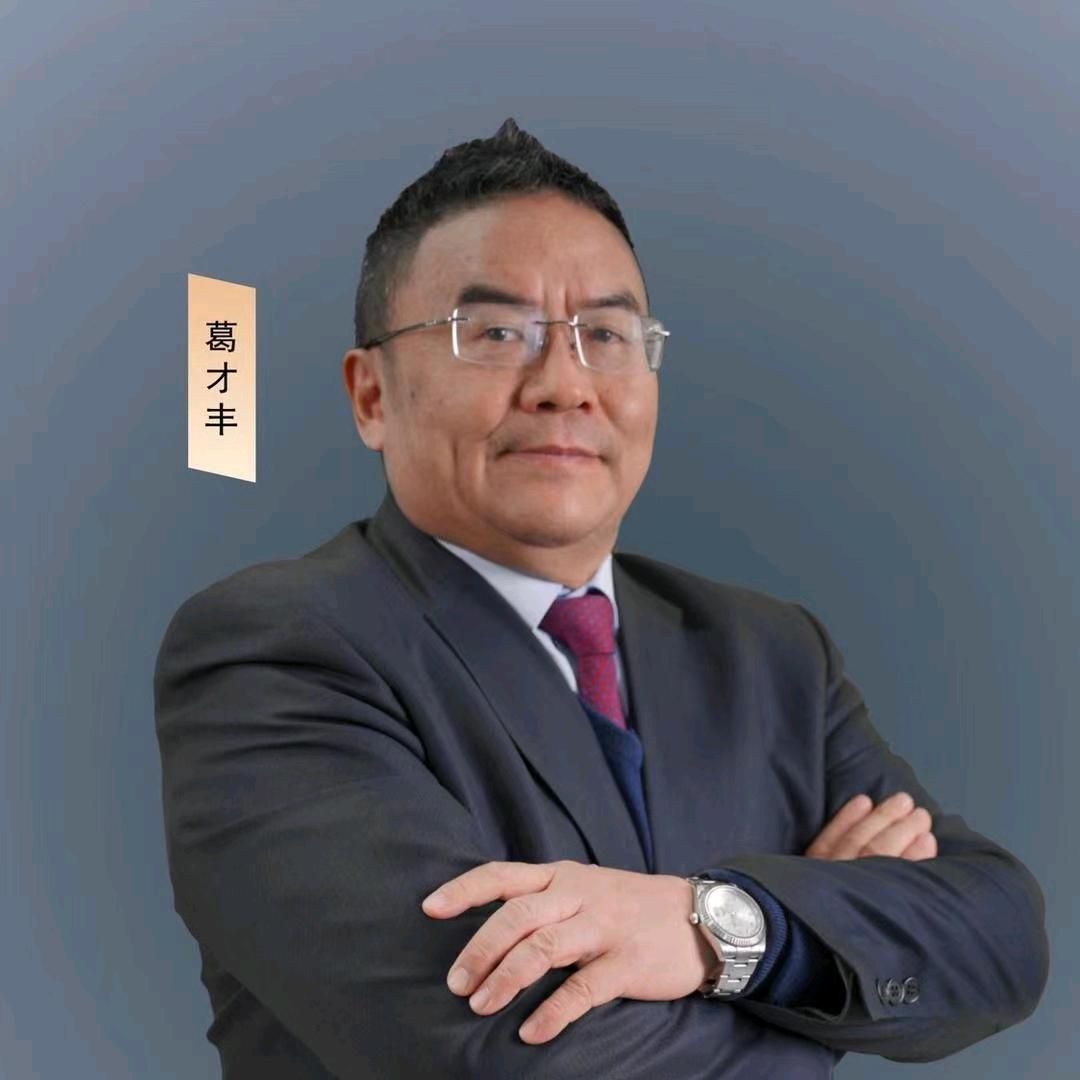 葛才丰论企业管理